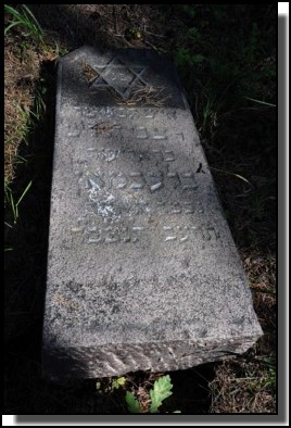 The  Jewish cemetery of Livani. Latvia. September 2009