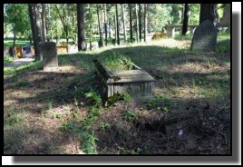 The  Jewish cemetery of Livani. Latvia. September 2009