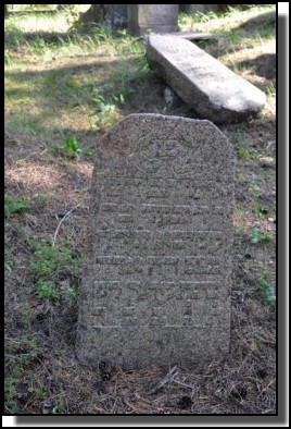 The  Jewish cemetery of Livani. Latvia. September 2009