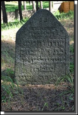 The  Jewish cemetery of Livani. Latvia. September 2009