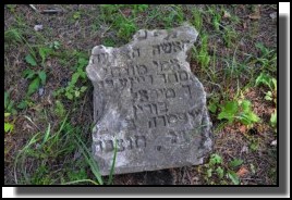 The  Jewish cemetery of Livani. Latvia. September 2009