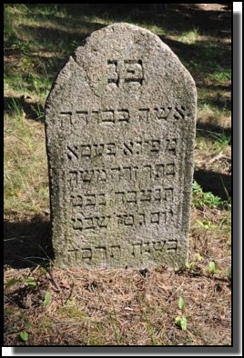 The Jewish cemetery of Livani. Latvia. September 2009