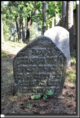 The Jewish cemetery of Livani. Latvia. September 2009