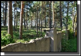 Livani Jewish cemetery. September 2009