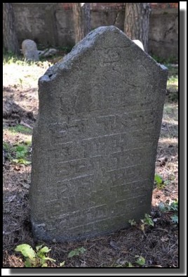 The Jewish cemetery of Livani. Latvia. September 2009