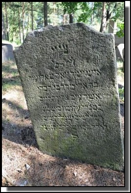 The Jewish cemetery of Livani. Latvia. September 2009