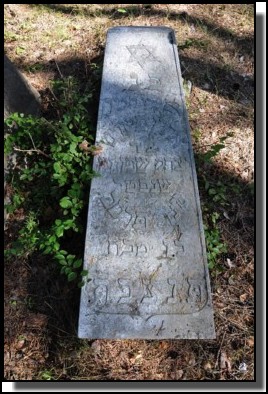 The Jewish cemetery of Livani. Latvia. September 2009