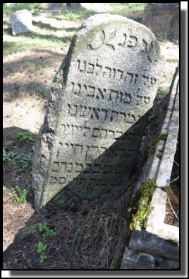 The Jewish cemetery of Livani. Latvia. September 2009