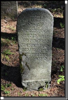 The Jewish cemetery of Livani. Latvia. September 2009