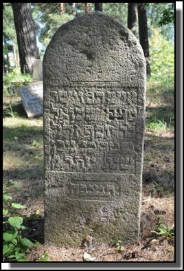 The Jewish cemetery of Livani. Latvia. September 2009