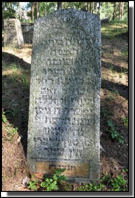 The Jewish cemetery of Livani. Latvia. September 2009