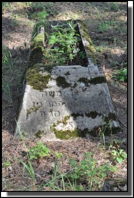 The Jewish cemetery of Livani. Latvia. September 2009