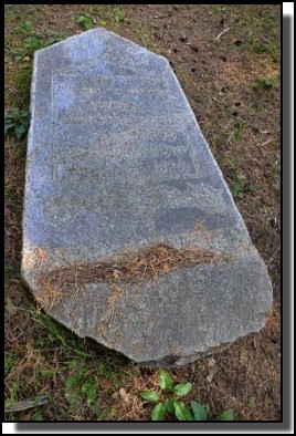 The Jewish cemetery of Livani. Latvia. September 2009