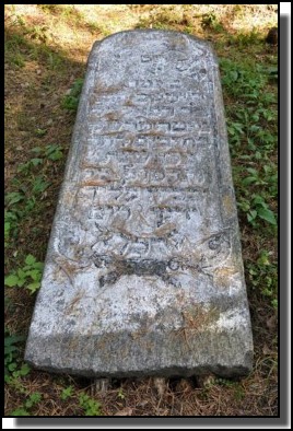 The Jewish cemetery of Livani. Latvia. September 2009