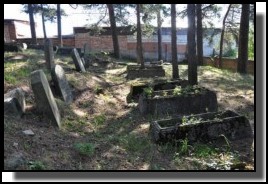 The Jewish cemetery of Livani. Latvia. September 2009