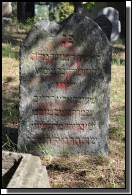 The Jewish cemetery of Livani. Latvia. September 2009