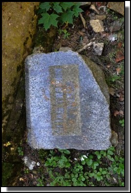 The Jewish cemetery of Livani. Latvia. September 2009