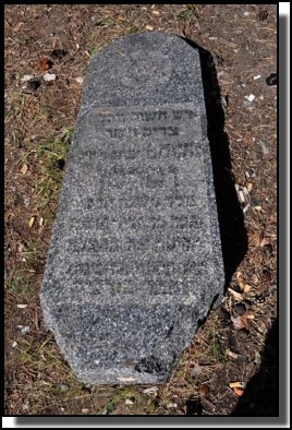 The Jewish cemetery of Livani. Latvia. September 2009