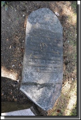 The Jewish cemetery of Livani. Latvia. September 2009