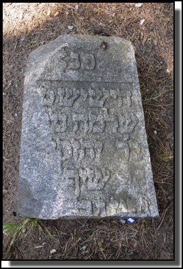 The Jewish cemetery of Livani. Latvia. September 2009