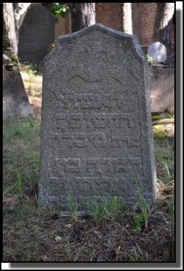 The Jewish cemetery of Livani. Latvia. September 2009