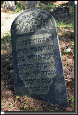 The Jewish cemetery of Livani. Latvia. September 2009