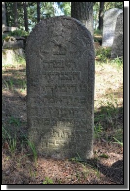 The Jewish cemetery of Livani. Latvia. September 2009