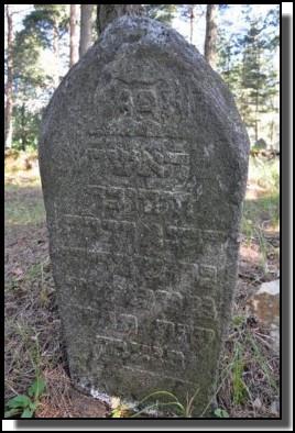 The Jewish cemetery of Livani. Latvia. September 2009