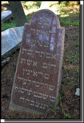 The Jewish cemetery of Livani. Latvia. September 2009