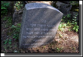 The Jewish cemetery of Livani. Latvia. September 2009