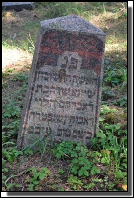 The Jewish cemetery of Livani. Latvia. September 2009