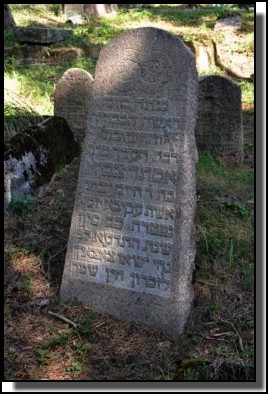 The Jewish cemetery of Livani. Latvia. September 2009