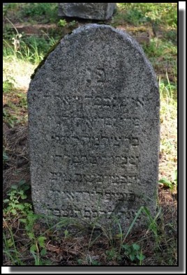 The Jewish cemetery of Livani. Latvia. September 2009