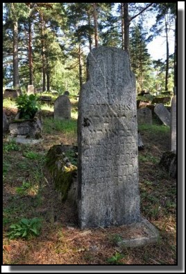 The Jewish cemetery of Livani. Latvia. September 2009