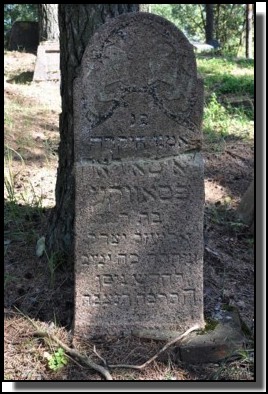 The Jewish cemetery of Livani. Latvia. September 2009