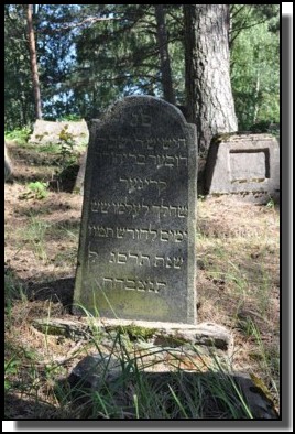 The Jewish cemetery of Livani. Latvia. September 2009