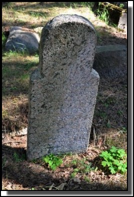 The Jewish cemetery of Livani. Latvia. September 2009