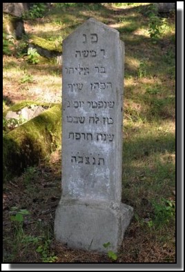 The Jewish cemetery of Livani. Latvia. September 2009