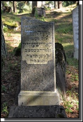 The Jewish cemetery of Livani. Latvia. September 2009