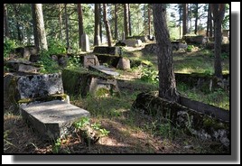 The Jewish cemetery of Livani. Latvia. September 2009