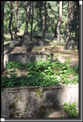 The Jewish cemetery of Livani. Latvia. September 2009