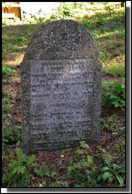 The Livani Jewish cemetery. Latvia. September 2009